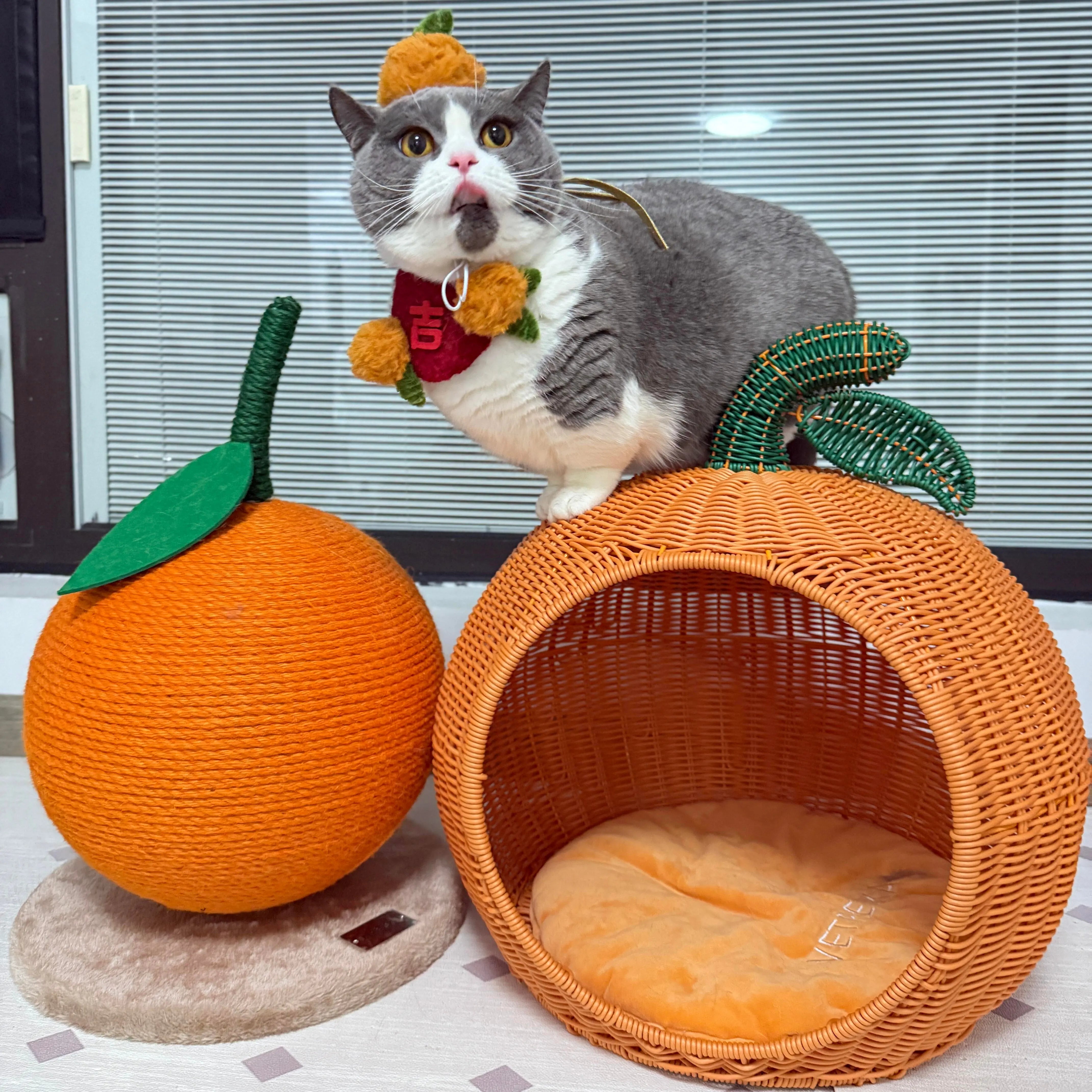 Summer Citrus Cat Scratcher Mewtie Boutique