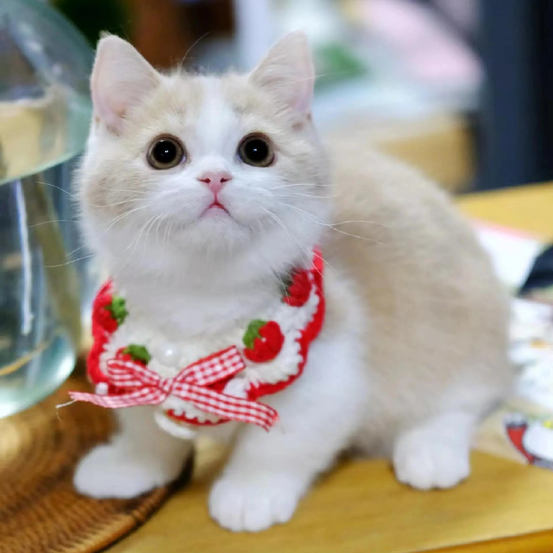 DONGKER Cat CollarCute Breakaway Cat Knitted Collar with Bow Tie & Strawberry Pattern for Cat Kitten Party Wedding Decoration Mewtie Boutique