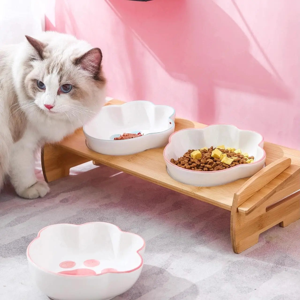 Cute Paw Print Cat Bowls in Pink and Blue Mewtie Boutique